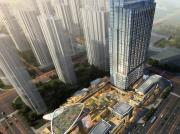 �����������»�D9